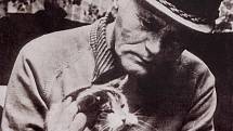 Hrabal miloval kočky, v Kersku se staral o polodivokou smečku. Čítala kolem dvaceti kusů, všechny kocoury a kočičky měl pojmenované