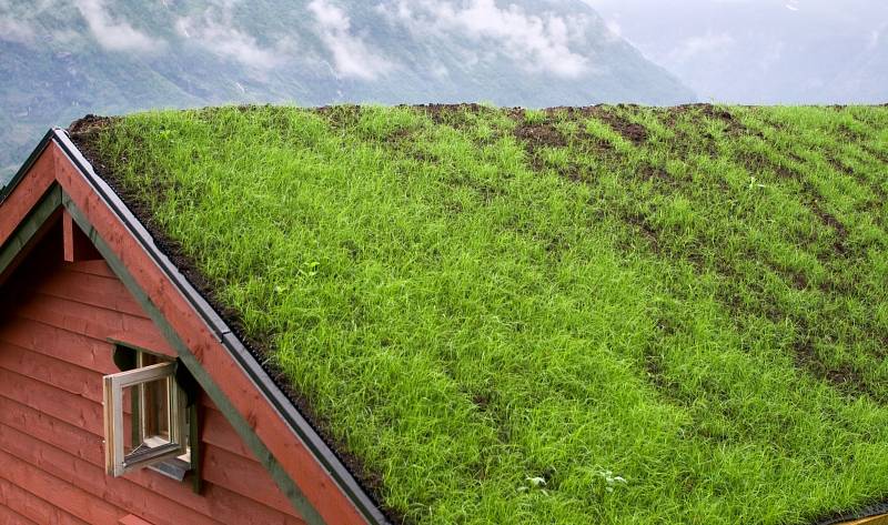 Zelená střecha je terno