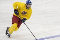 Do víkendových zápasů na hokejovém MS už může zasáhnout i útočník Michal Vondrka.