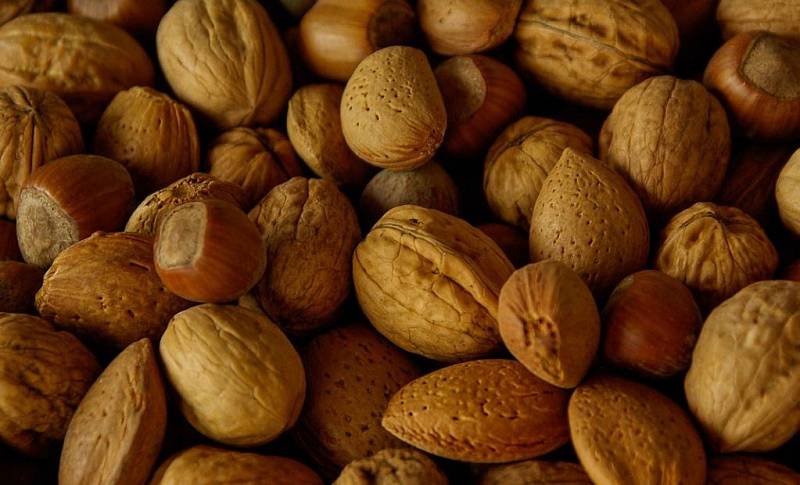 Vlašské ořechy pomáhají regulovat krevní tlak a snižovat hladinu cholesterolu. Prospívají pleti, vlasům a nehtům