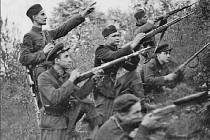 Příslušníci Ukrajinské povstalecké armády (banderovci) přibližně v roce 1947, na snímku neznámý partyzánský oddíl v oblasti Rivne