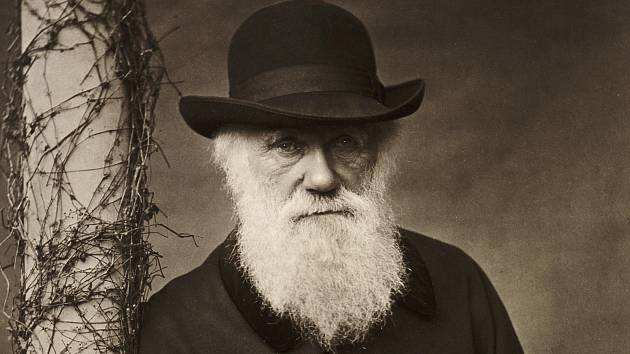 Charles Darwin v roce 1881.