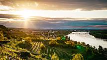 Vinařská turistika v údolí Dunaje. Světově známá oblast Wachau a sousední vinařské městečko Langelois lákají návštěvníky z Česka.