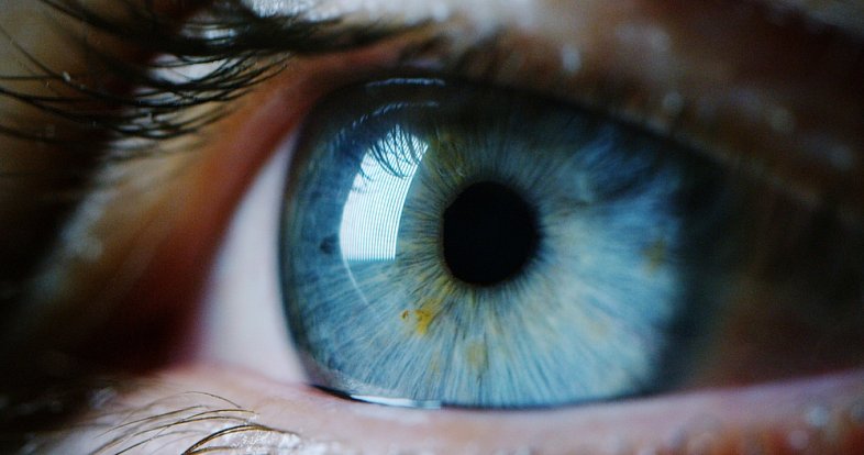 Hnědé, modré nebo třeba šedé? Víte, která barva očí je nejvzácnější a že ji lze předvídat i u vašeho potomka?