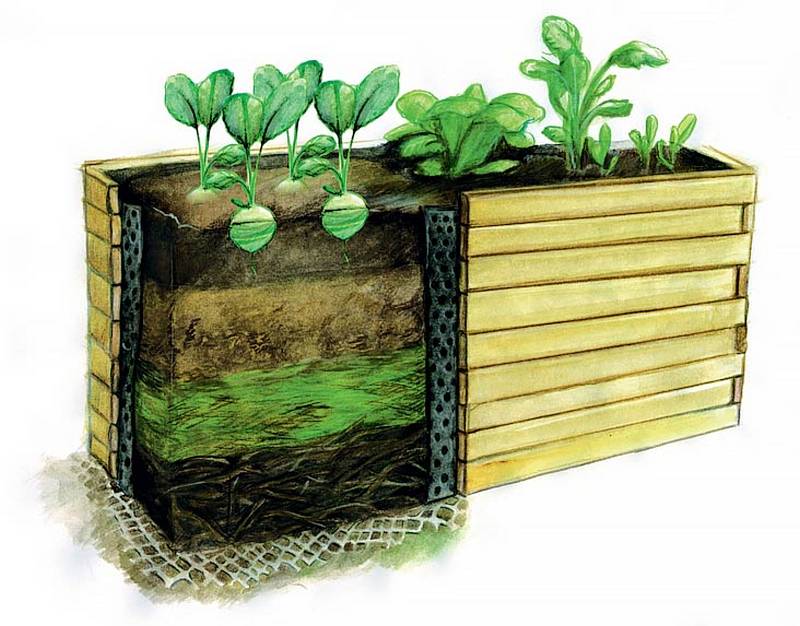 Záhony založené jako kompost produkují teplo, a poskytují tak rostlinám kromě spousty živin i spodní vyhřívání