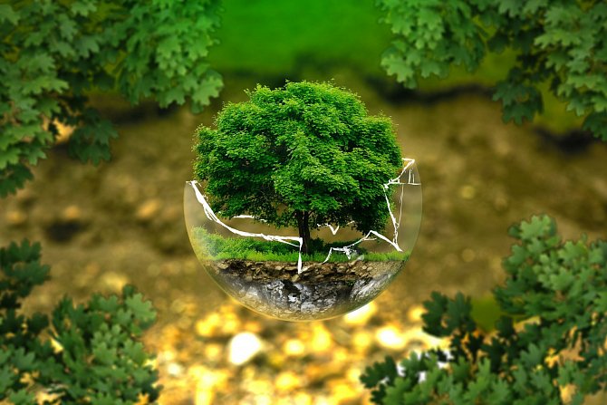 Životní prostředí - Ilustrační foto