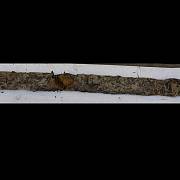 Nalezený meč je podle odborníků 1500 let starý.