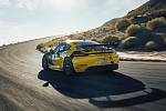 Porsche 718 Cayman GT4 Clubsport