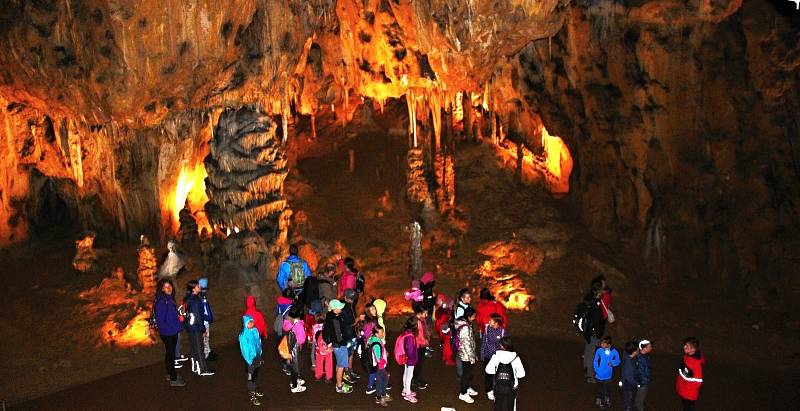 Ve Sloupsko-šošůvských jeskyních vás uchvátí nádherná krápníková výzdoba.
