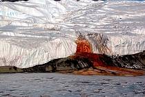 Krvavý vodopád v Antarktidě je pozoruhodným přírodním úkazem