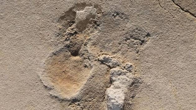 Jedna z pravěkých stop, která může být starší než šest milionů let