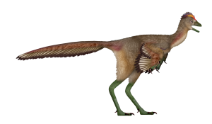 Opeřený dinosaurus? Měl podivně dlouhé nohy a některé znaky ptáků. Ilustrační snímek