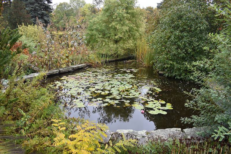 Teplice. Botanická zahrada, návštěvníci