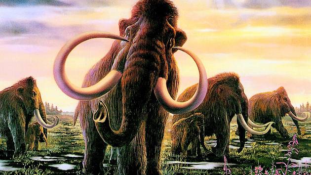 VYHYNULÝ VELIKÁN. Mamuti žili na zemi miliony let. S ústupem poslední doby ledové vyhynuli, kromě klimatických změn jejich osud pravděpodobně zpečetili i pravěcí lovci. 