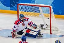 V hokejové brance strávil Michal Vápenka celou kariéru a dočkal se i vytoužené medaile