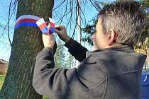 Stromy připomínající vznik Československé republiky lze najít na mnoha místech České republiky. Ilustrační foto.