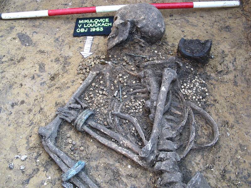 Žena vybraná vědci pro ztvárnění podoby zemřela ve věku kolem 35 let a pocházela z vyšší společenské vrstvy starší doby bronzové. Pohřbená byla v Mikulovicích u Pardubic s přepychovou výbavou.