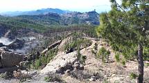 Gran Canaria. V pozadí je vidět sousední ostrov Tenerife.