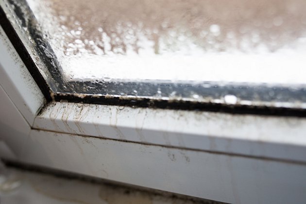 Stékající a zatékající voda může ničit okna a také způsobit tvorbu plísní, které jsou pro lidské zdraví velmi nebezpečné.