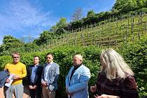 Prezident Svazu vinařů Martin Chlad a někteří krajští radní včetně hejtmana Jana Grolicha podepsali petici proti zavedení spotřební daně na tichá vína