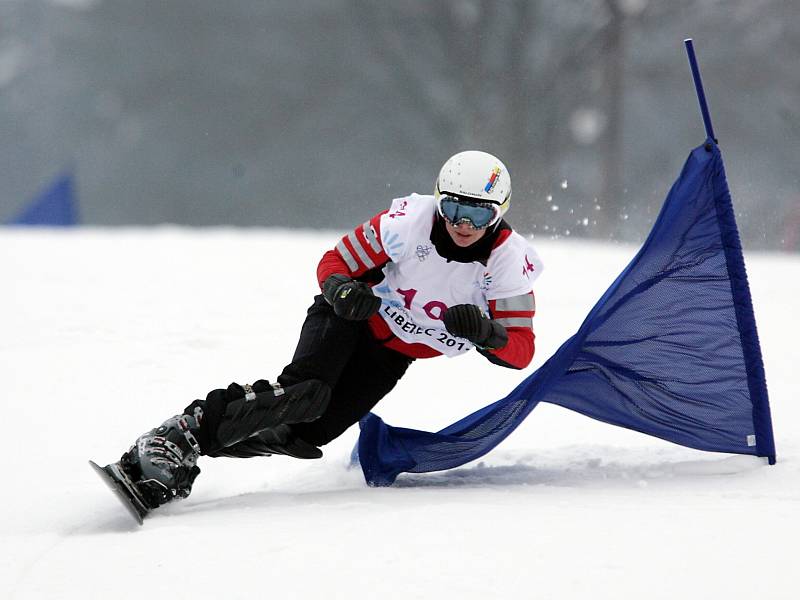 Ester Ledecká poprvé v hledáčku Deníku, 17. února 2011, Evropský zimní olympijský festival mládeže v Liberci (konkrétně v Rejdicích na prkně)