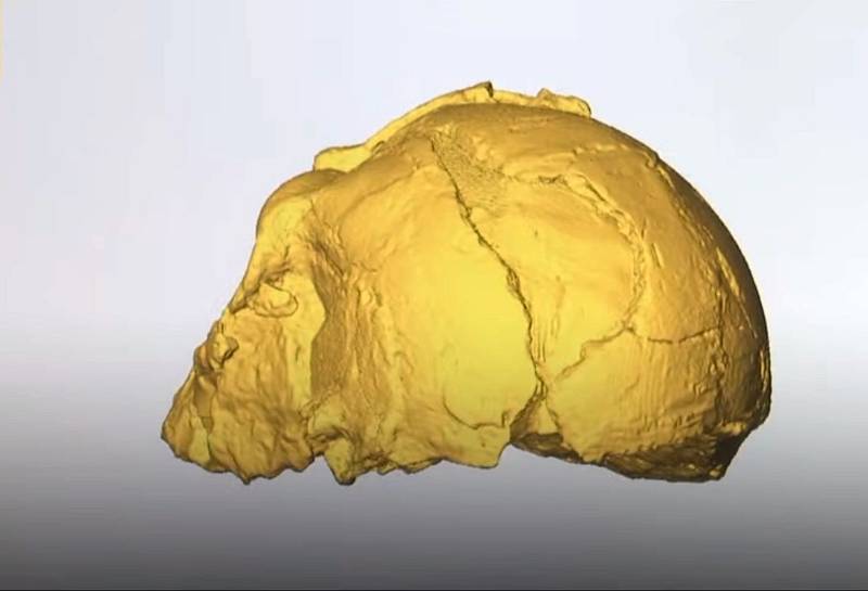 Stáří lebečního fragmentu se odhaduje na 210 tisíc let