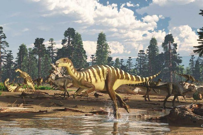 Dinosauři z rodiny ornithopodů. Podobně zřejmě vypadal i galleonosaurus.