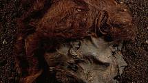 Hlava mumie Stidtsholtské ženy