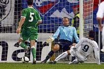 Slovinec Zlatan Ljubljankič (v bílém) střílí druhý gól do sítě Severního Irska. 