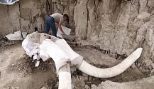 Při stavbě nového letiště severně od Mexico City našli vědci na 200 mamutích kostí