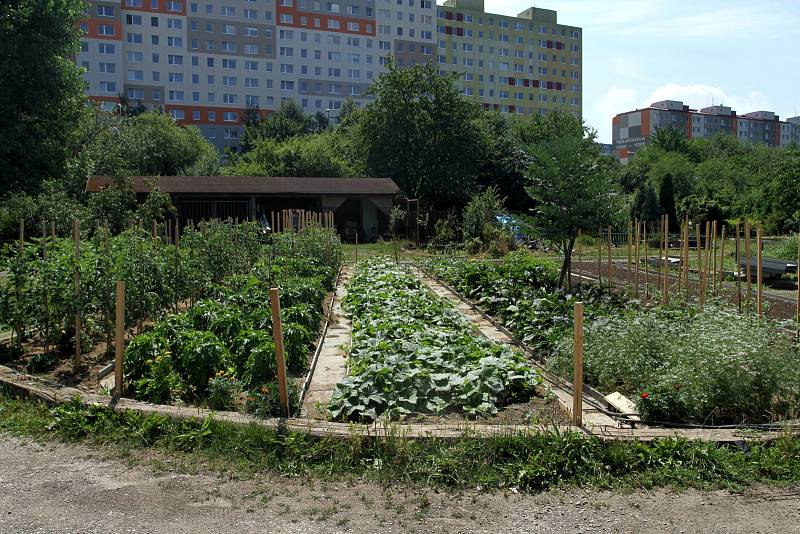 Osoby se zdravotním postižením udržují budovy a pozemky, pracují ve Zdravé jídelně, v rukodělné dílně a v zahradnictví