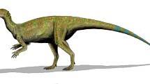 Na nalezišti Hell Creek paleontologové objevili i zachovalou nohu Thescelosaura.