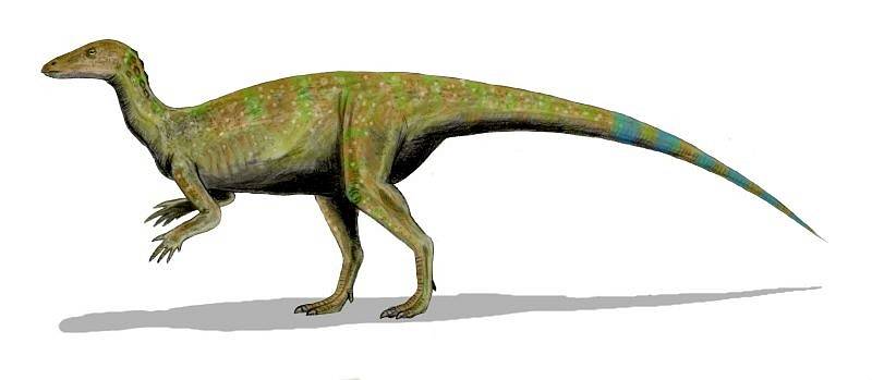 Na nalezišti Hell Creek paleontologové objevili i zachovalou nohu Thescelosaura.