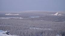 Nejnižší naměřenou teplotou v sibiřské tajze bylo −68°C
