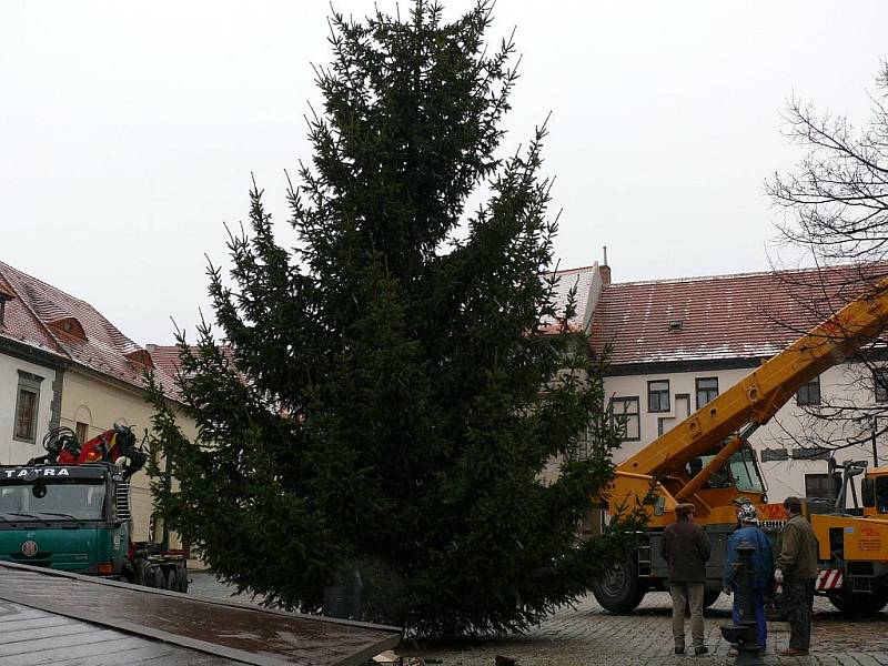 Ve středu dopoledne pracovníci Městských lesů Prachatice porazili na zahradě rodiny Mrázových vánoční strom, který bude zdobit prachatické Velké náměstí. Rozsvícení se uskuteční v neděli vpodvečer, kdy bude zároveň zapálena první svíce na adventním věnci.