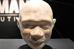 Rekonstrukce pravděpodobného vzhledu dítěte druhu Homo antecessor, vytvořená na základě dochované lebky. Tvář nesla rysy moderního člověka