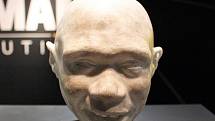 Rekonstrukce pravděpodobného vzhledu dítěte druhu Homo antecessor, vytvořená na základě dochované lebky. Tvář nesla rysy moderního člověka