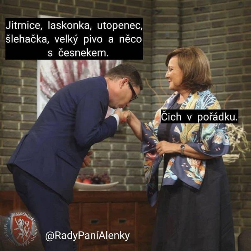 Covid a vláda