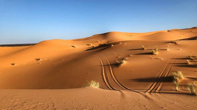 Největší pouští světa je Sahara s 9, 26 miliony kilometry čtverečními. 