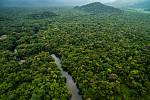 Amazonský deštný prales. Čtyři děti v ně po pádu letadla přežily 40 dní. Ilustrační snímek