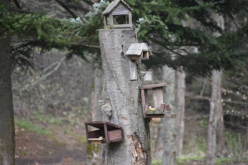 Horské lázně Karlova Studánka lákají klienty sloganem Naber sílu po covidu! Podstatou klimatoterapie je pohyb na čerstvém vzduchu.