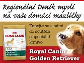 Zapojte se s námi do soutěže o speciální krmivo  ROYAL CANIN GOLDEN RETRIEVER 3kg.