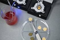 Vědci z Biologického centra Akademie věd ČR a Jihočeské univerzity vymysleli unikátní systém testování, který spojuje rychlost antigenního testu a spolehlivost metody PCR.