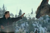 Grady (Chris Pratt) umí komunikovat s raptory jako s koníky