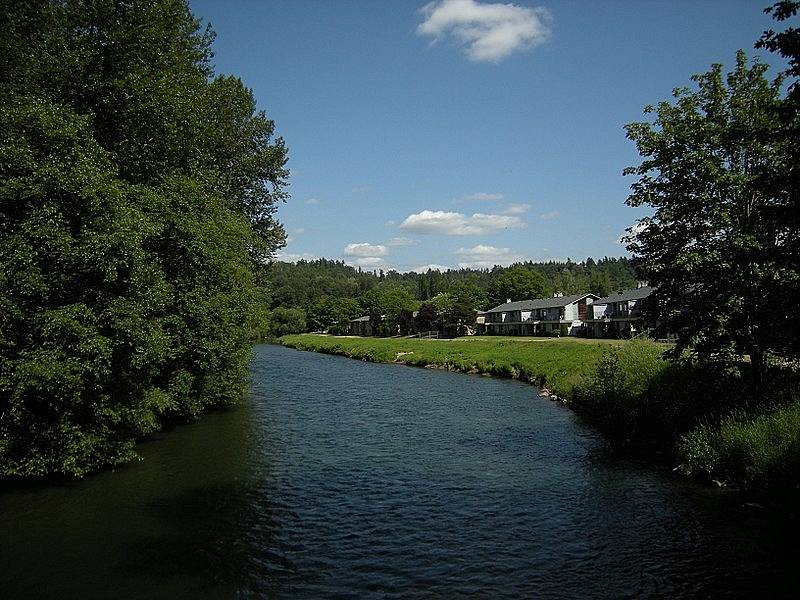 Zelená řeka (v angličtině Green River) přetéká státem Washington. Břehy této řeky se staly místem, kam Gary Ridgway pokládal těla svých obětí.