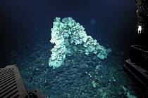 Modravou houbu dlouhou 3,5 metru, vysokou dva metry a širokou 1,5 metru našli vědci asi před rokem v chráněné oblasti u Severozápadních havajských ostrovů, která je největší chráněnou rezervací Spojených států. 