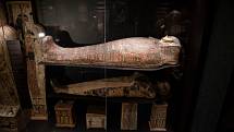 Ostatky mumifikované těhotné ženy jsou staré dva tisíce let. Aktuálně se nacházejí ve varšavském Národním muzeu.