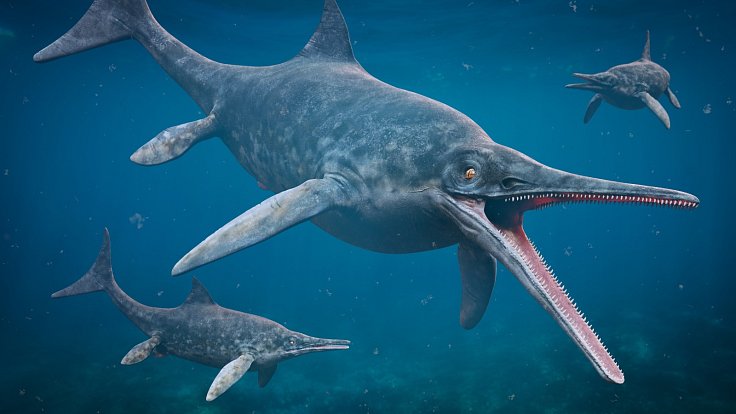 Paleontologové v Chile objevili výjimečně zachovalé pozůstatky březí samice ichtyosaura. Mořští plazi vyhynuli přibližně před 90 miliony let.