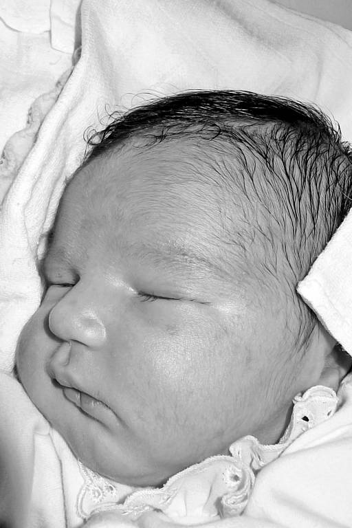 Filip Kalista, 29. 3. 2008, 51 cm, 3520 g, VFN, U Apolináře