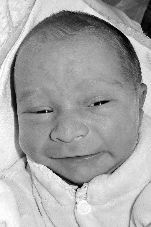 Ondřej Vitík, 30. 3. 2008, 46 cm, 2791 g, VFN, U Apolináře